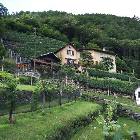 Casa Immersa Nel Vigneto Roveredo Exterior foto