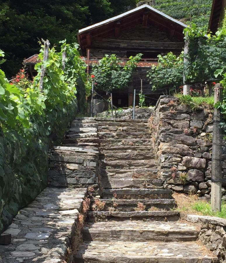 Casa Immersa Nel Vigneto Roveredo Exterior foto