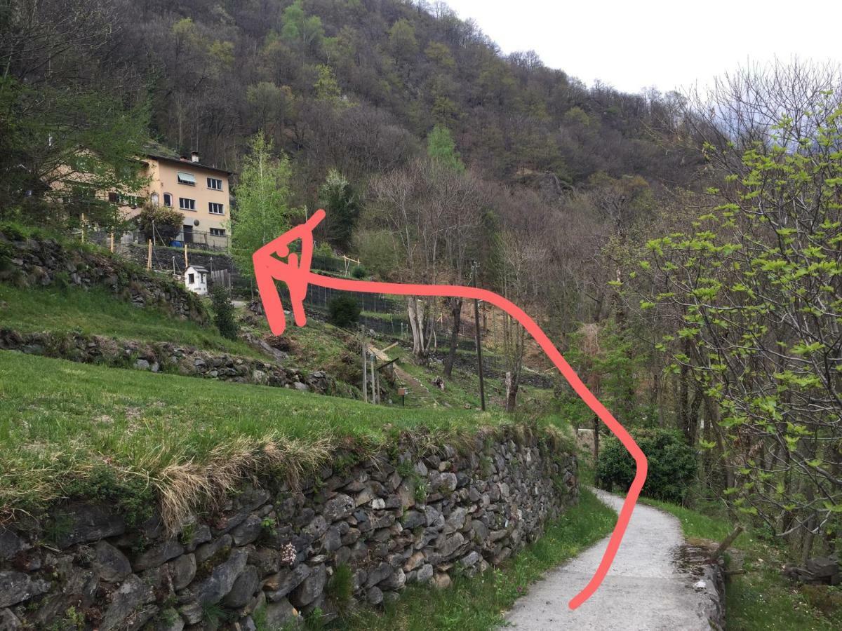 Casa Immersa Nel Vigneto Roveredo Exterior foto